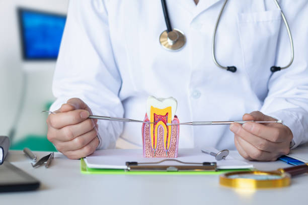 Best Chipped Tooth Repair Near Me  in Copperas Cove, TX